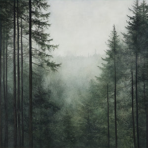 Forest Canvas Wall Art