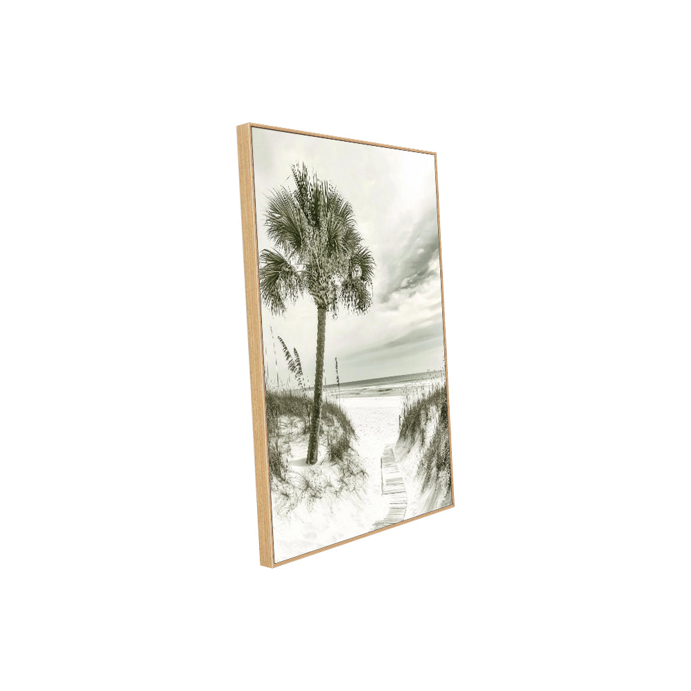 Coastal Palm Pathway Canvas Wall Art