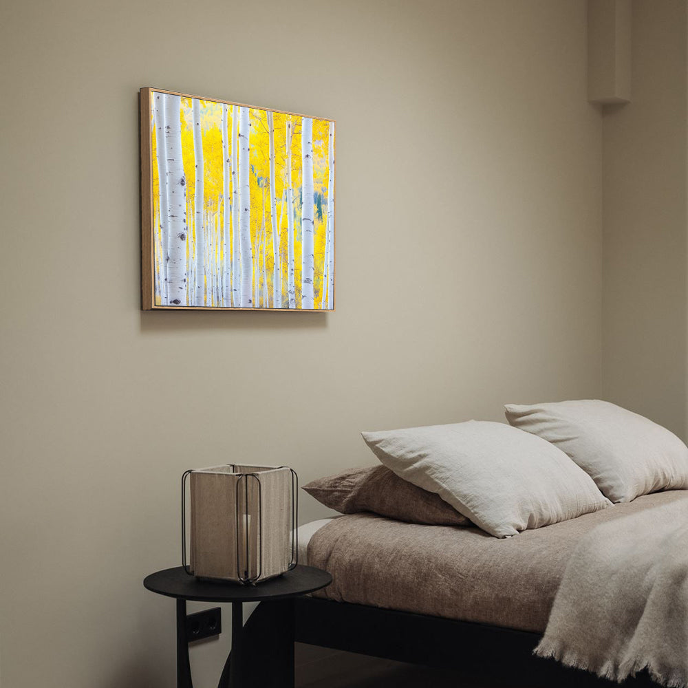 Golden Aspen Forest Canvas Wall Art