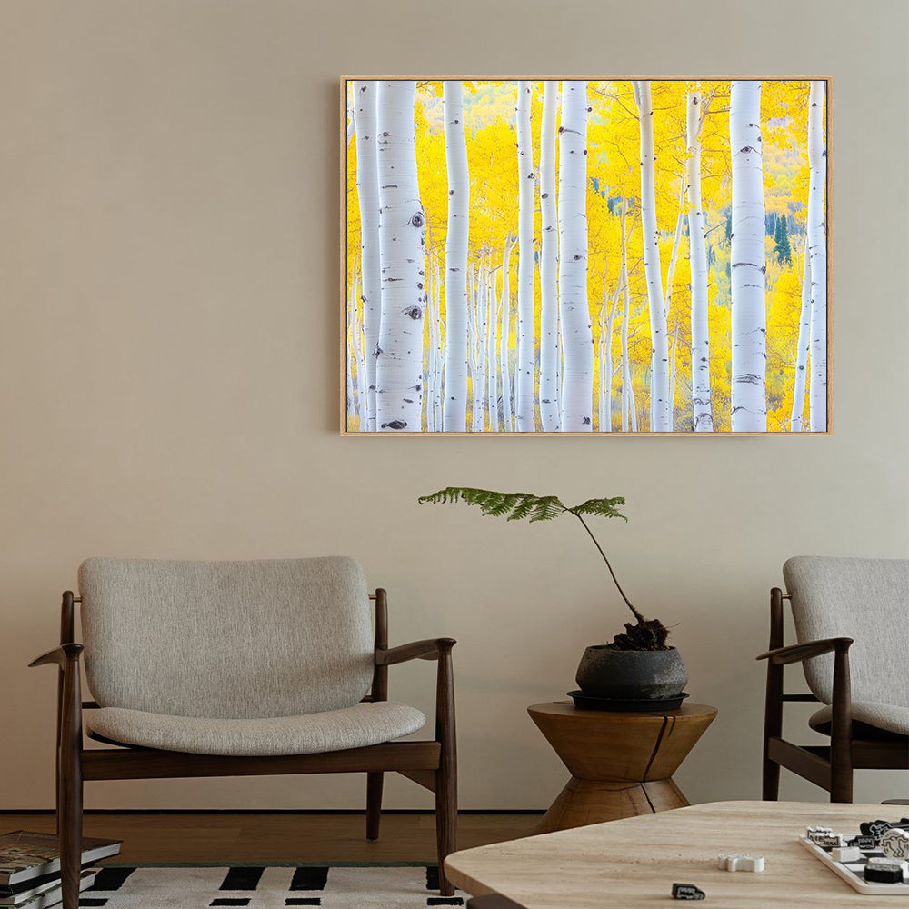 Golden Aspen Forest Canvas Wall Art