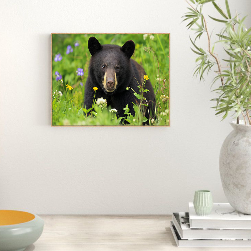 Black Bear Among Wildflowers – A Vibrant Nature Scene Canvas Wall Art