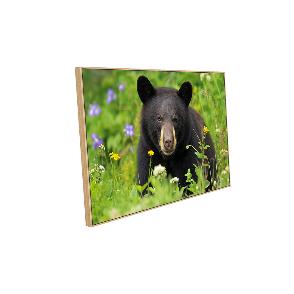 Black Bear Among Wildflowers – A Vibrant Nature Scene Canvas Wall Art