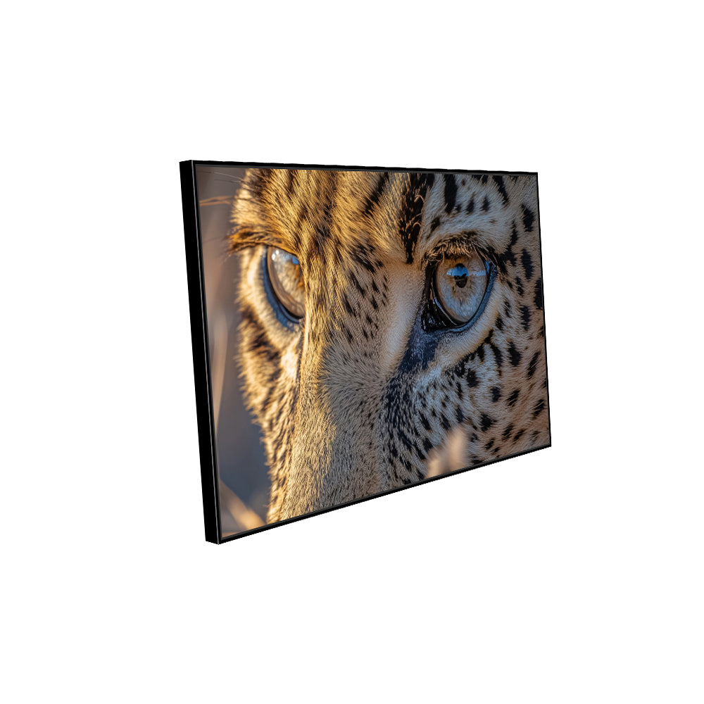 Majestic Leopard Gaze Of Wildlife Close-Up - Canvas Wall Art