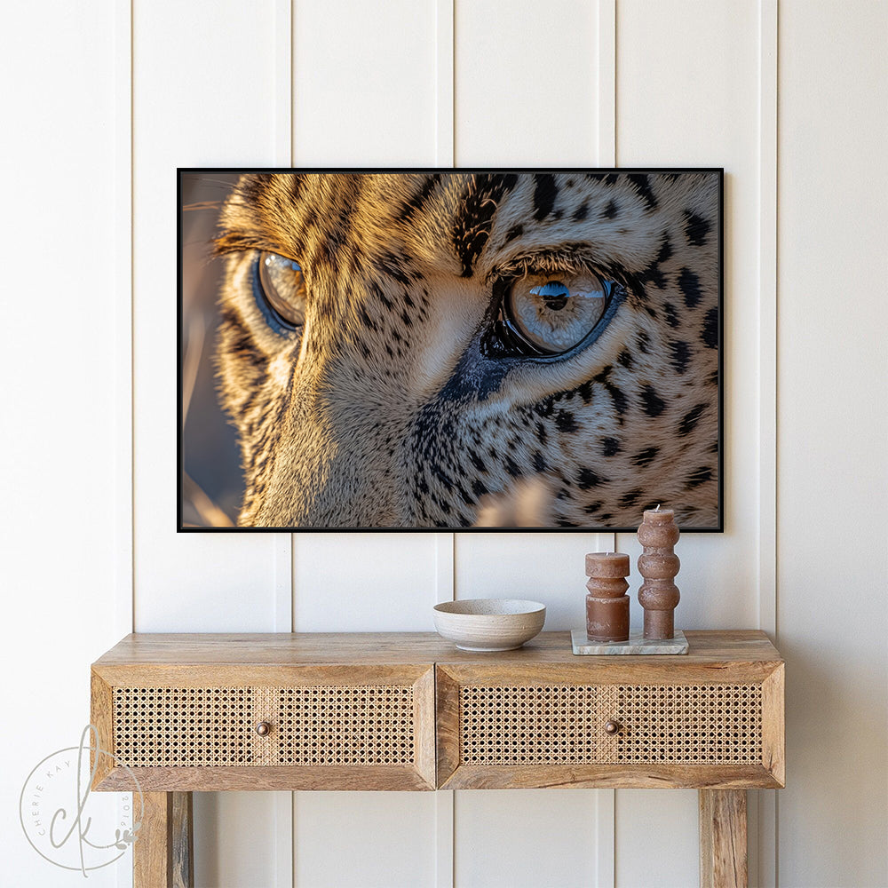 Majestic Leopard Gaze Of Wildlife Close-Up - Canvas Wall Art