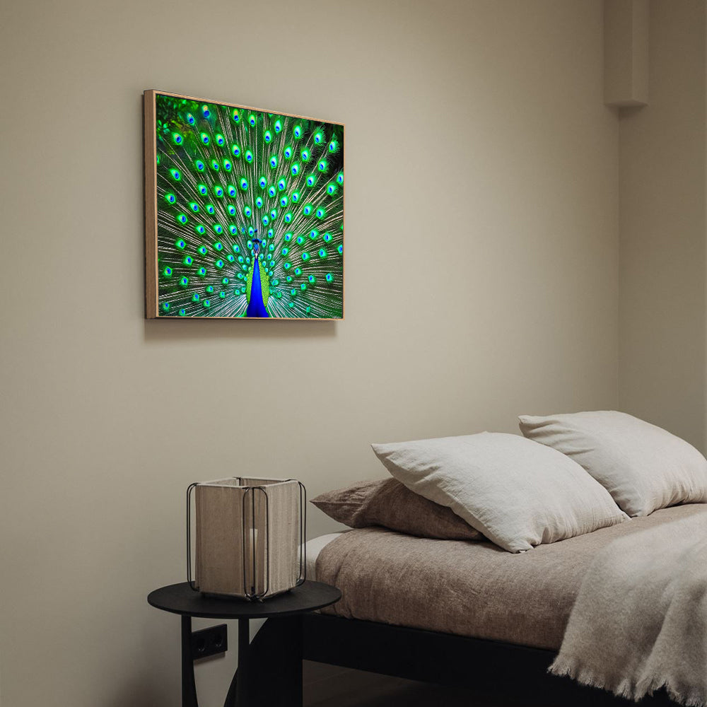 Vibrant Peacock Canvas Wall Art