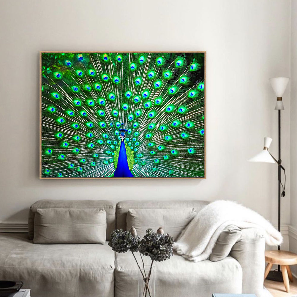 Vibrant Peacock Canvas Wall Art