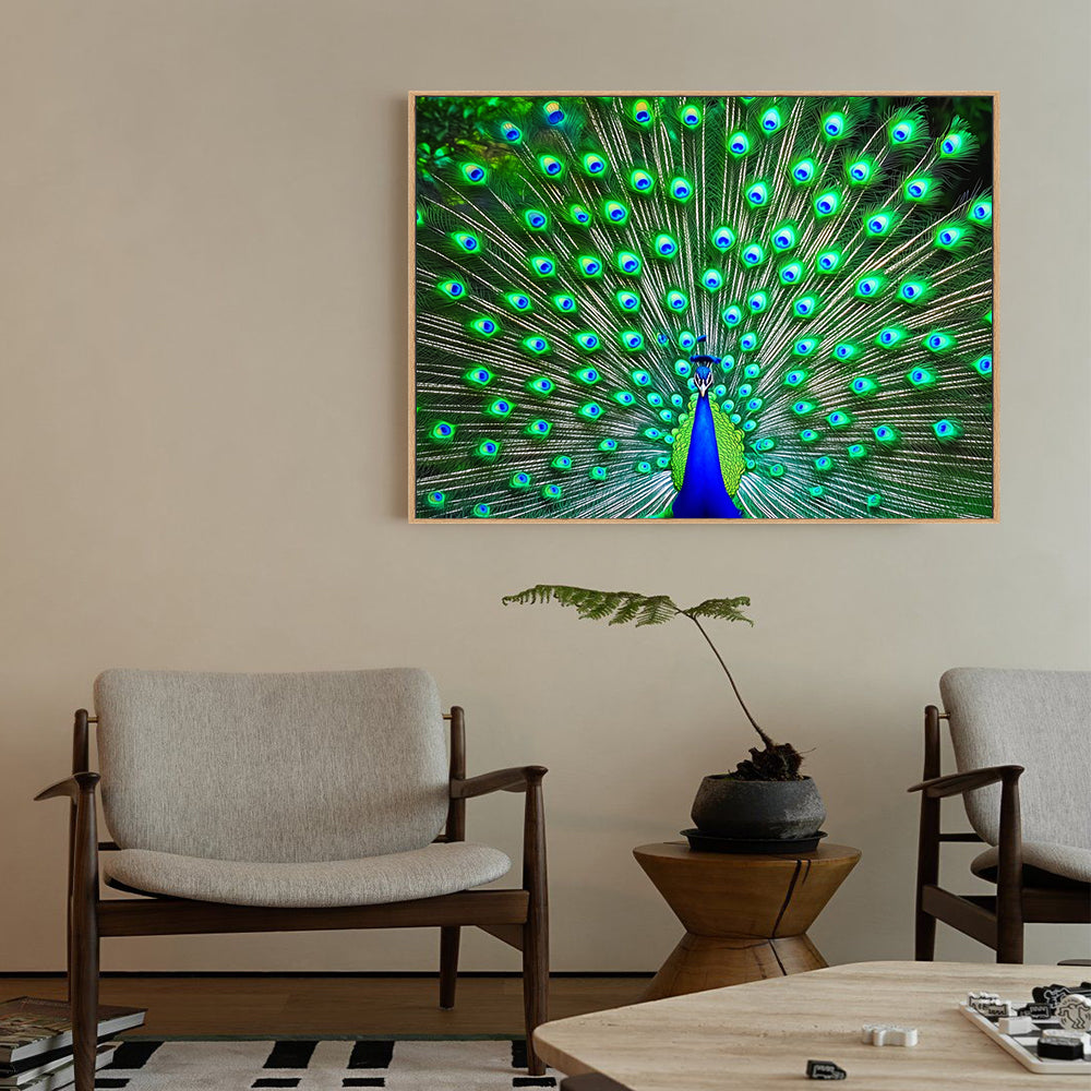 Vibrant Peacock Canvas Wall Art