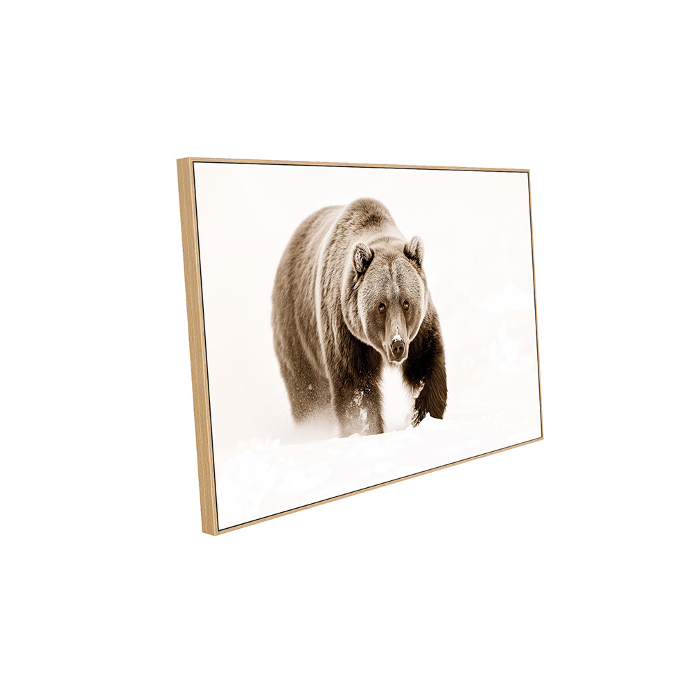 Fearless Grizzly In Winter – Timeless Wildlife Décor Canvas Wall Art