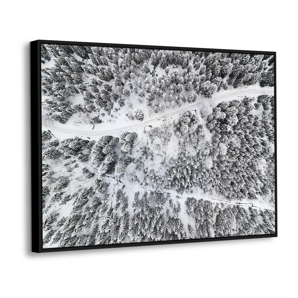 Aerial Winter Forest Canvas Wall Art