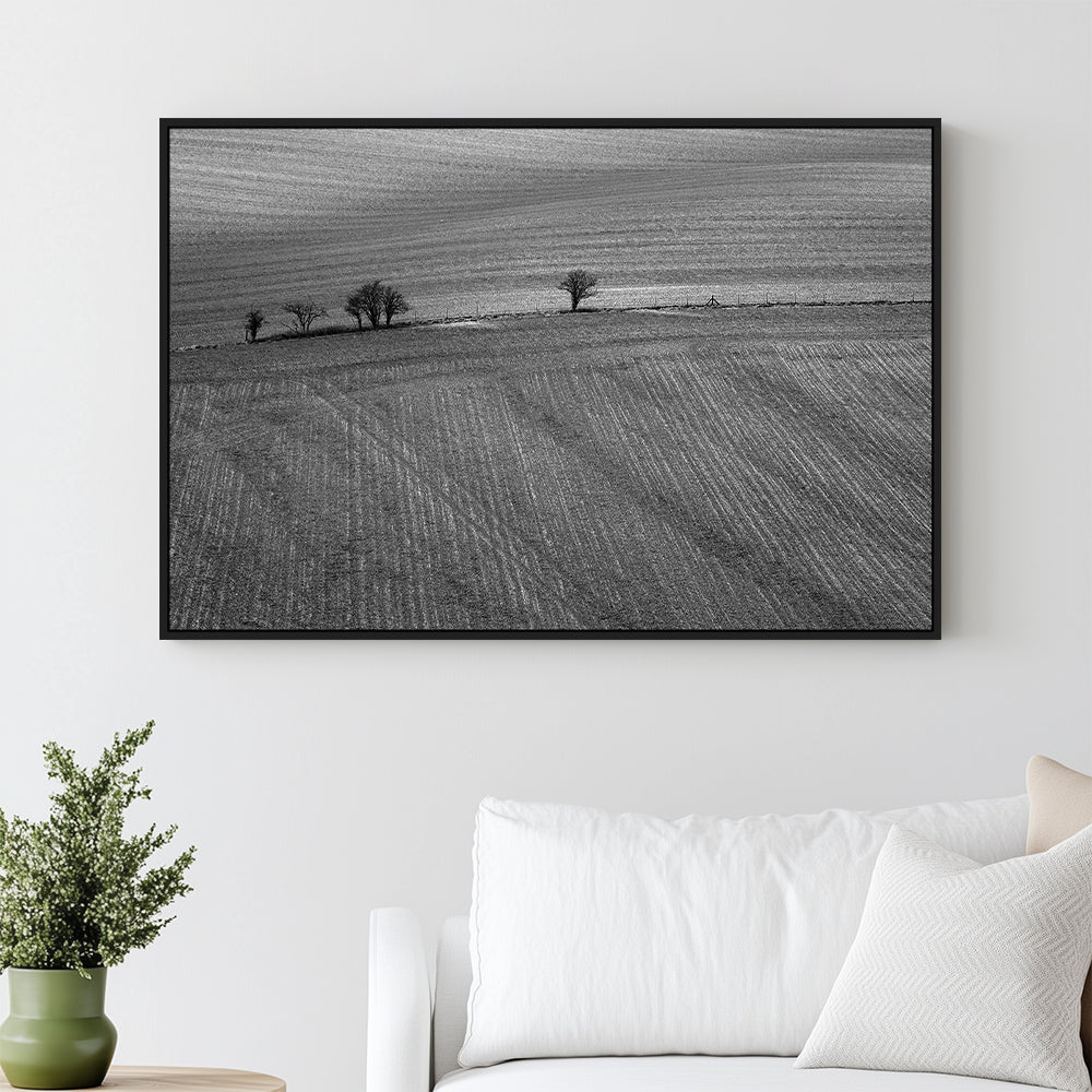 Lonely Trees In The Field - Black And White Canvas Wall Art