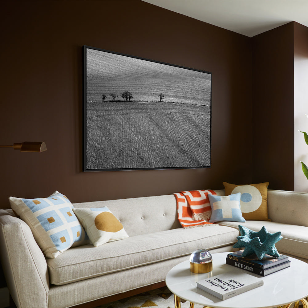 Lonely Trees In The Field - Black And White Canvas Wall Art