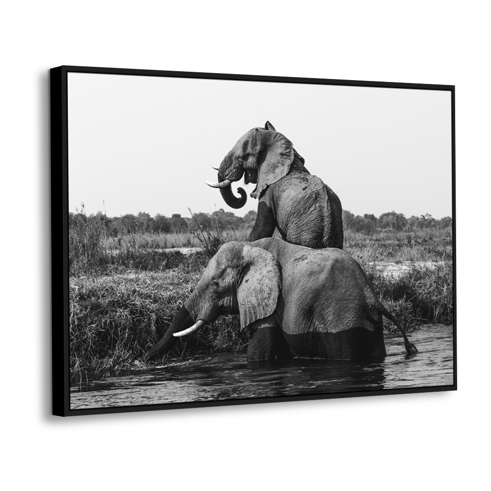 Majestic Elephants - Black And White Canvas Wall Art