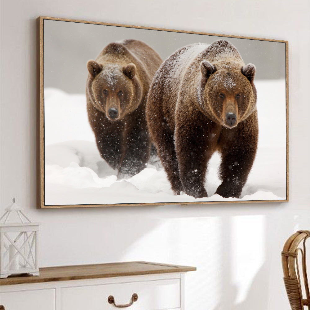 Strength In Numbers: Grizzly Bears In Winter Canvas Wall Art