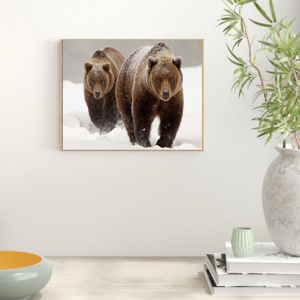 Strength In Numbers: Grizzly Bears In Winter Canvas Wall Art
