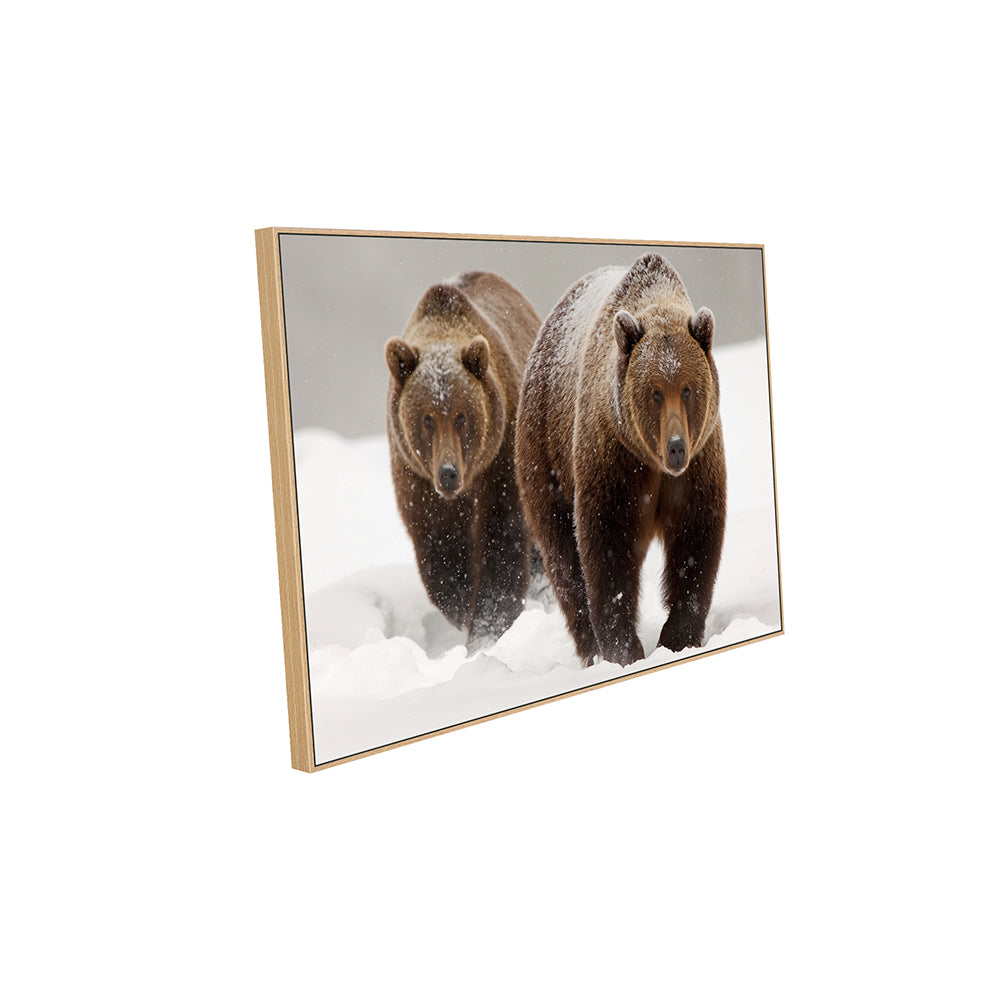 Strength In Numbers: Grizzly Bears In Winter Canvas Wall Art