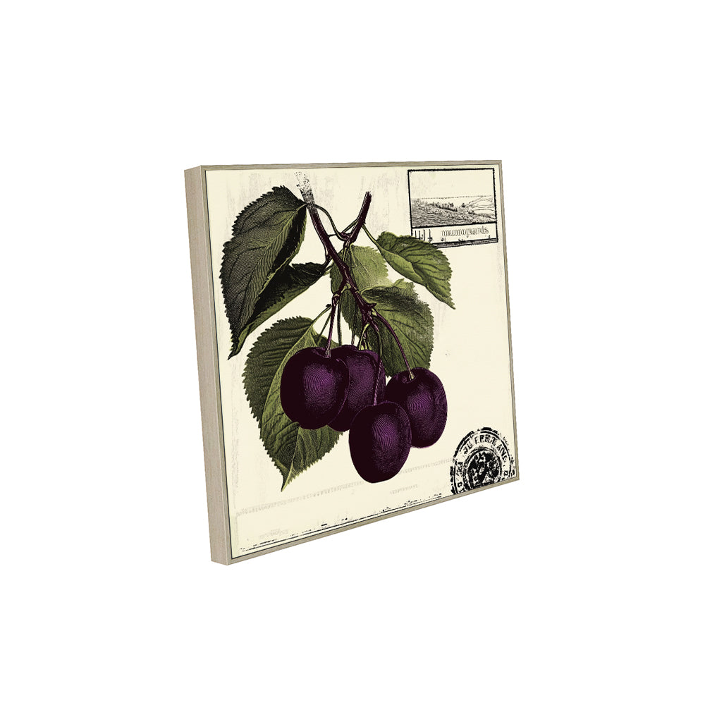 Vintage Cherry Botanical Canvas Wall Art