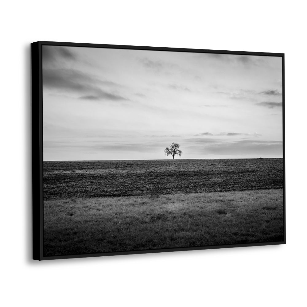 A Moment Of Stillness – Tree In The Field Canvas Wall Art