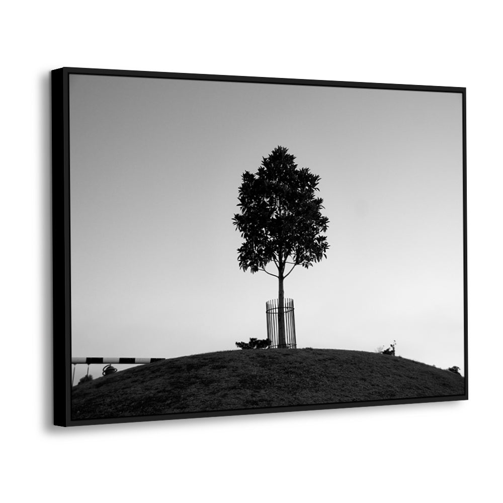 The Lonely Sentinel – Black And White Tree Canvas Wall Art