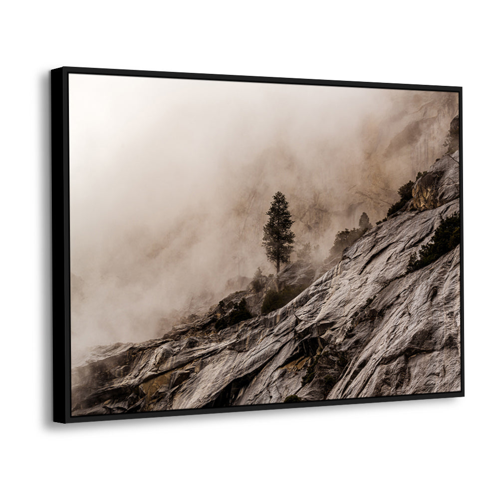 Solitary Tree On Foggy Cliff – Canvas Wall Art