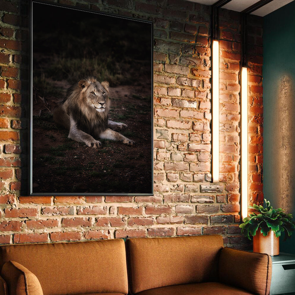 "King Of The Savannah" Lion Canvas Wall Art