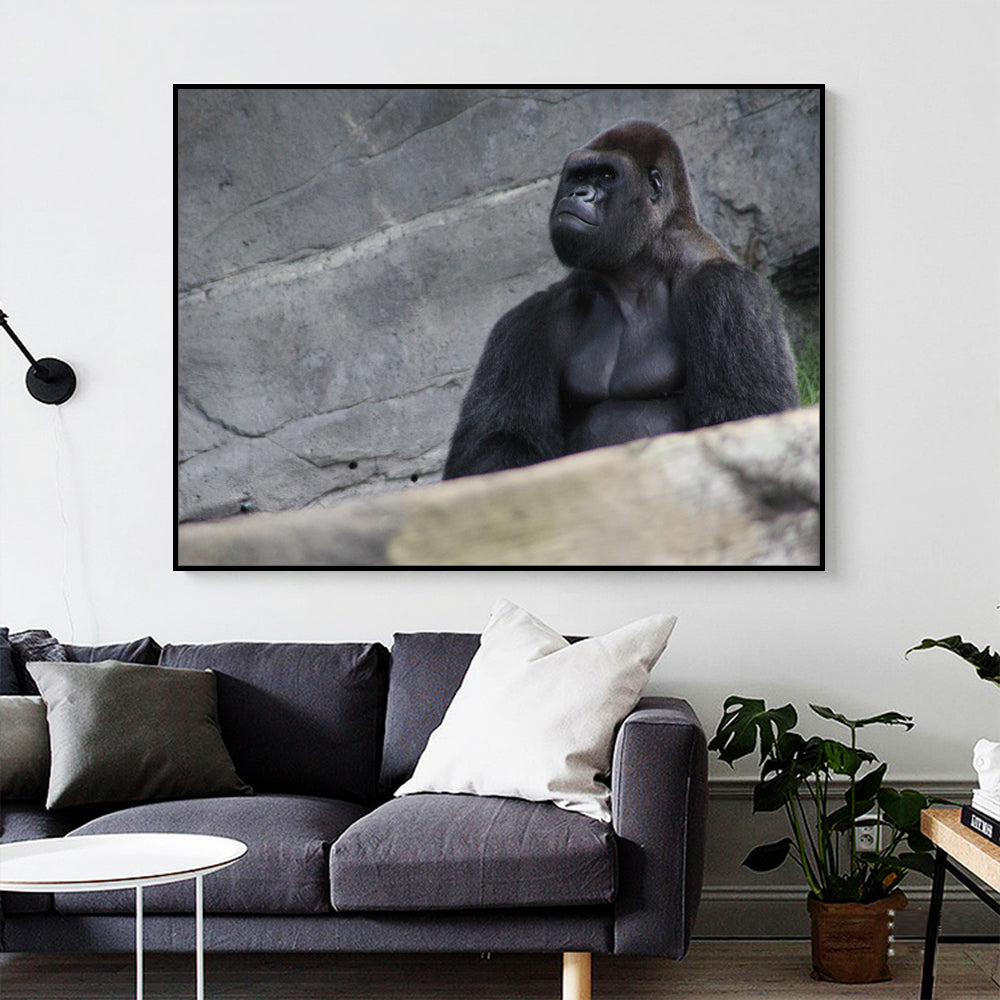 Majestic Gorilla Canvas Wall Art