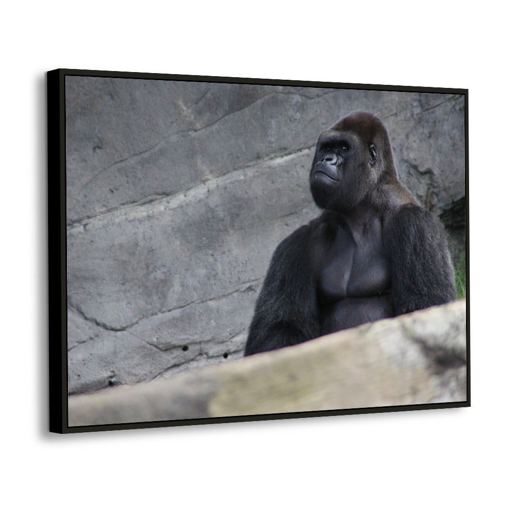 Majestic Gorilla Canvas Wall Art