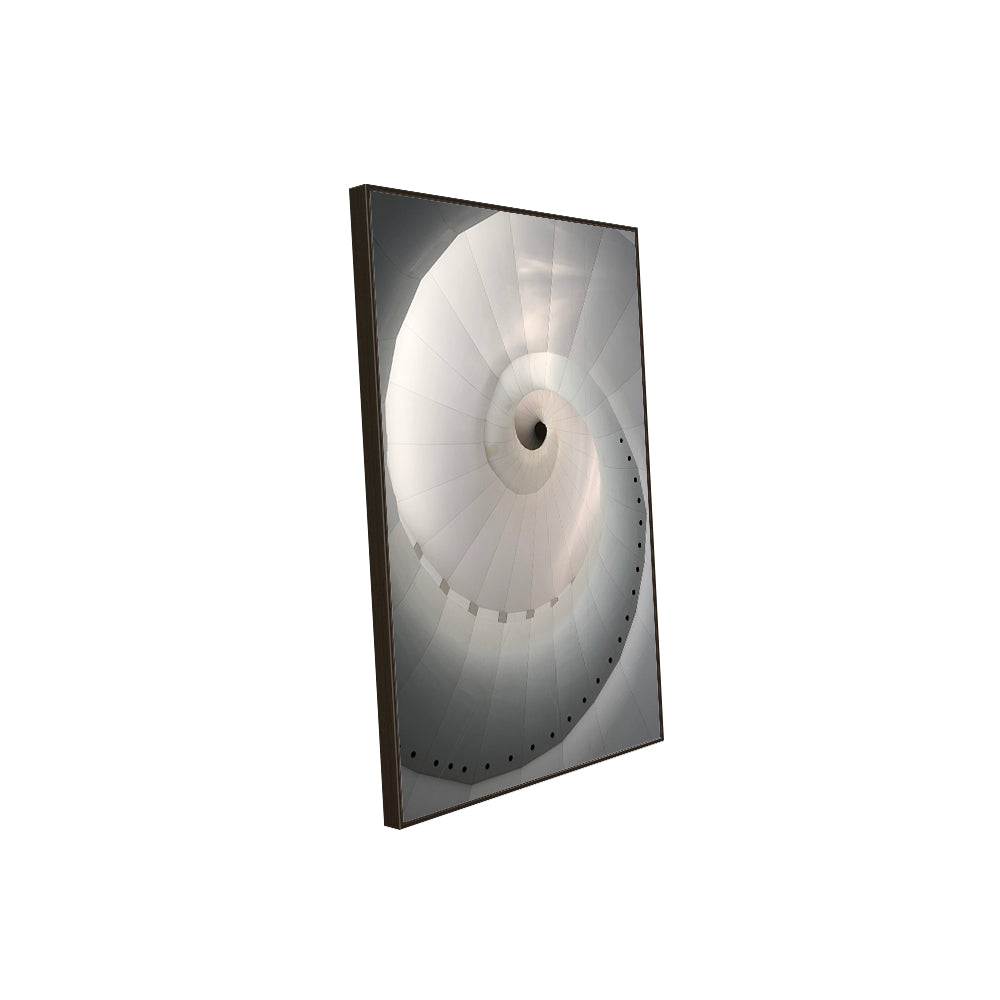 Spiral Elegance Canvas Wall Art