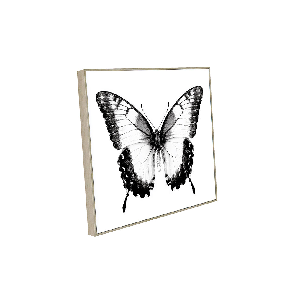 Monochrome Butterfly Canvas Wall Art