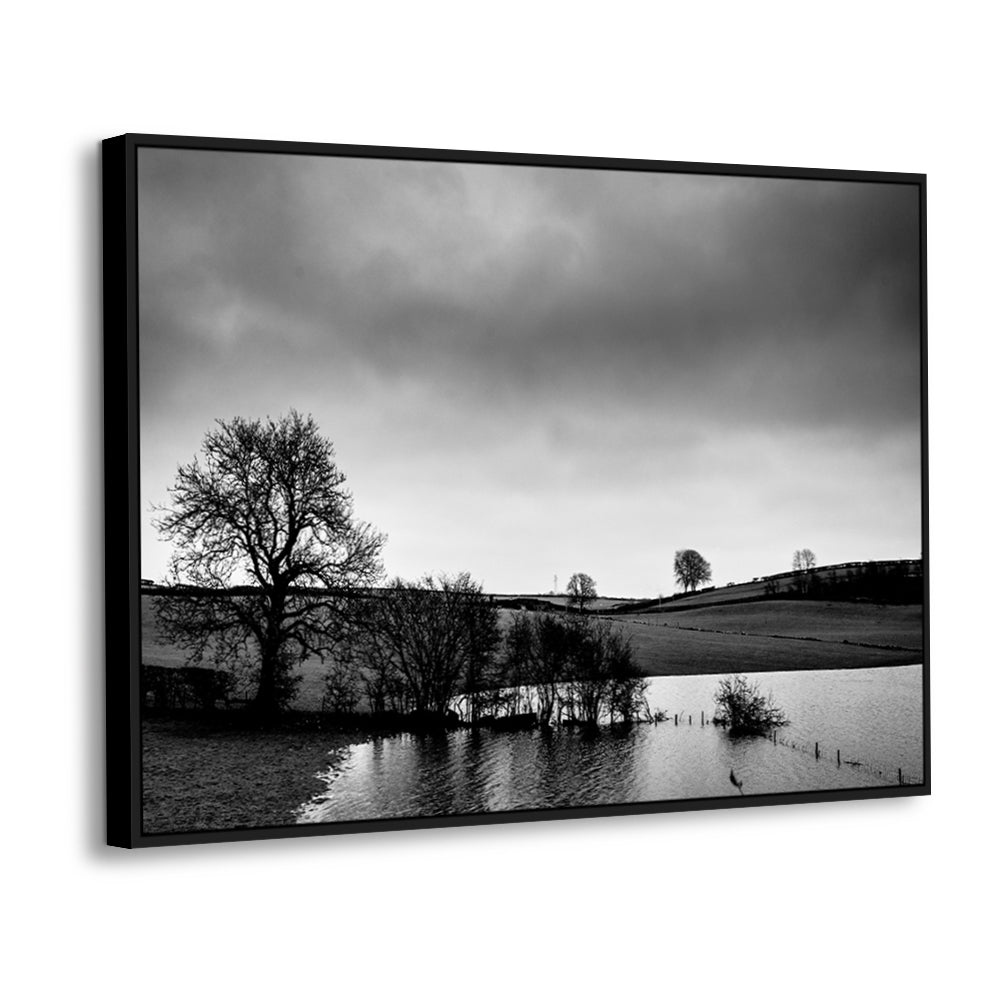 Lonely Trees By The Flooded Field Canvas Wall Art