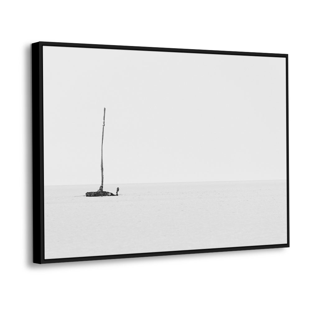 Solitary Stick On The Beach Canvas Wall Art