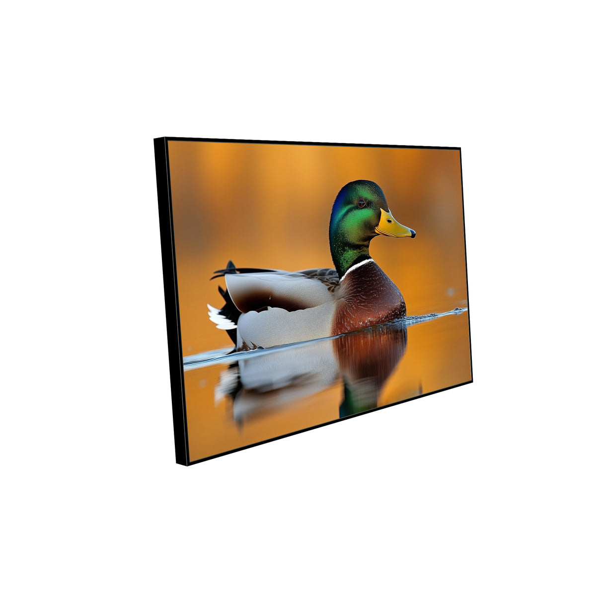 Majestic Mallard Duck Canvas Wall Art
