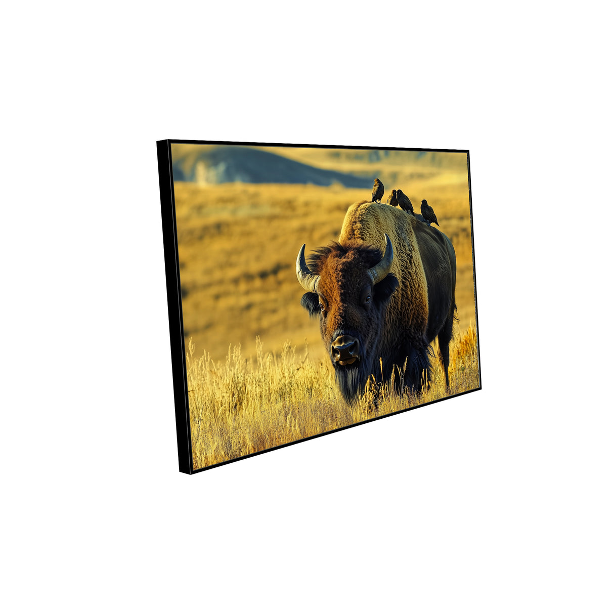 Majestic Bison Canvas Wall Art