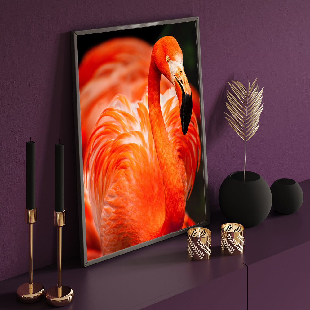 Vibrant Flamingo Canvas Wall Art