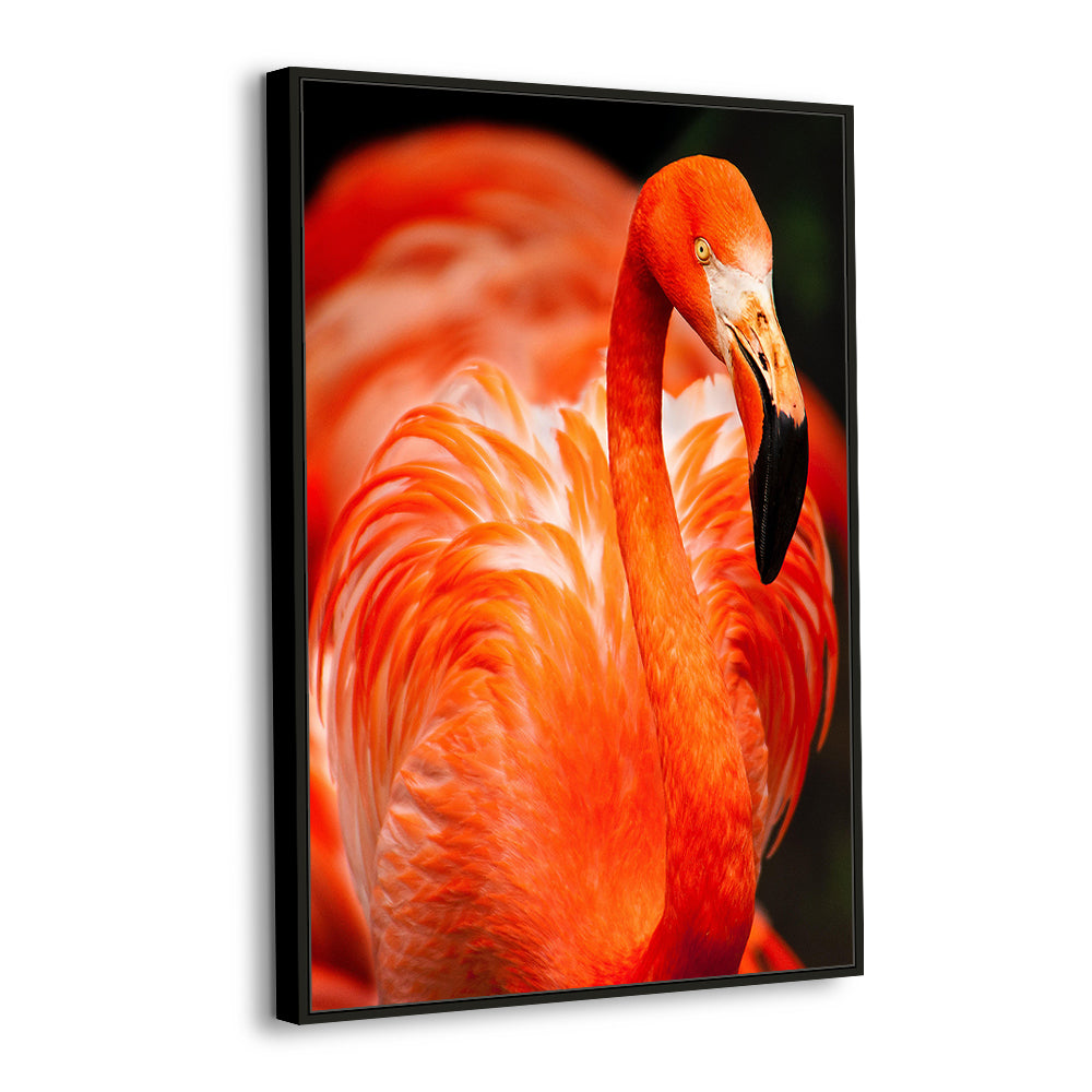 Vibrant Flamingo Canvas Wall Art