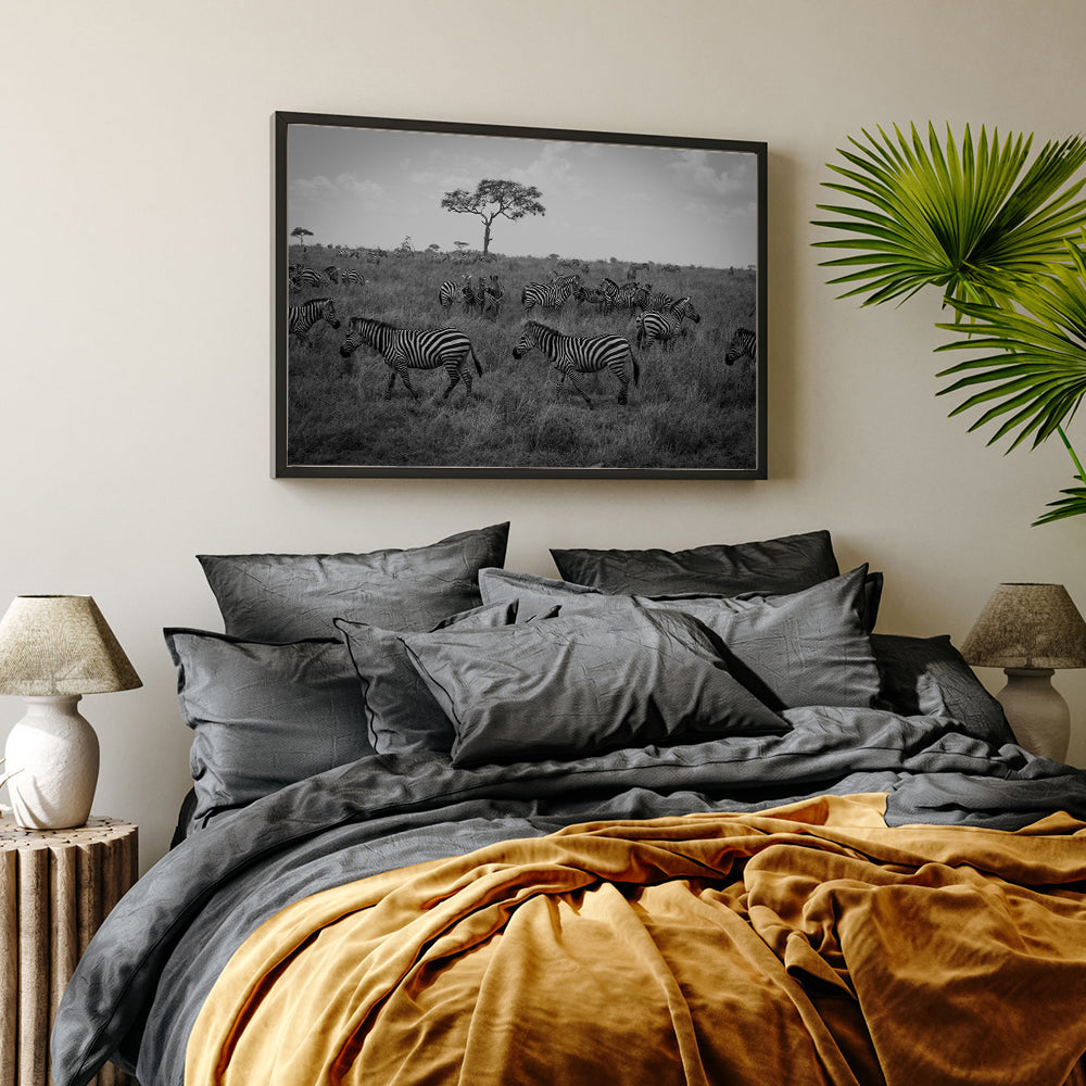 Black And White Zebra Herd Canvas Wall Art