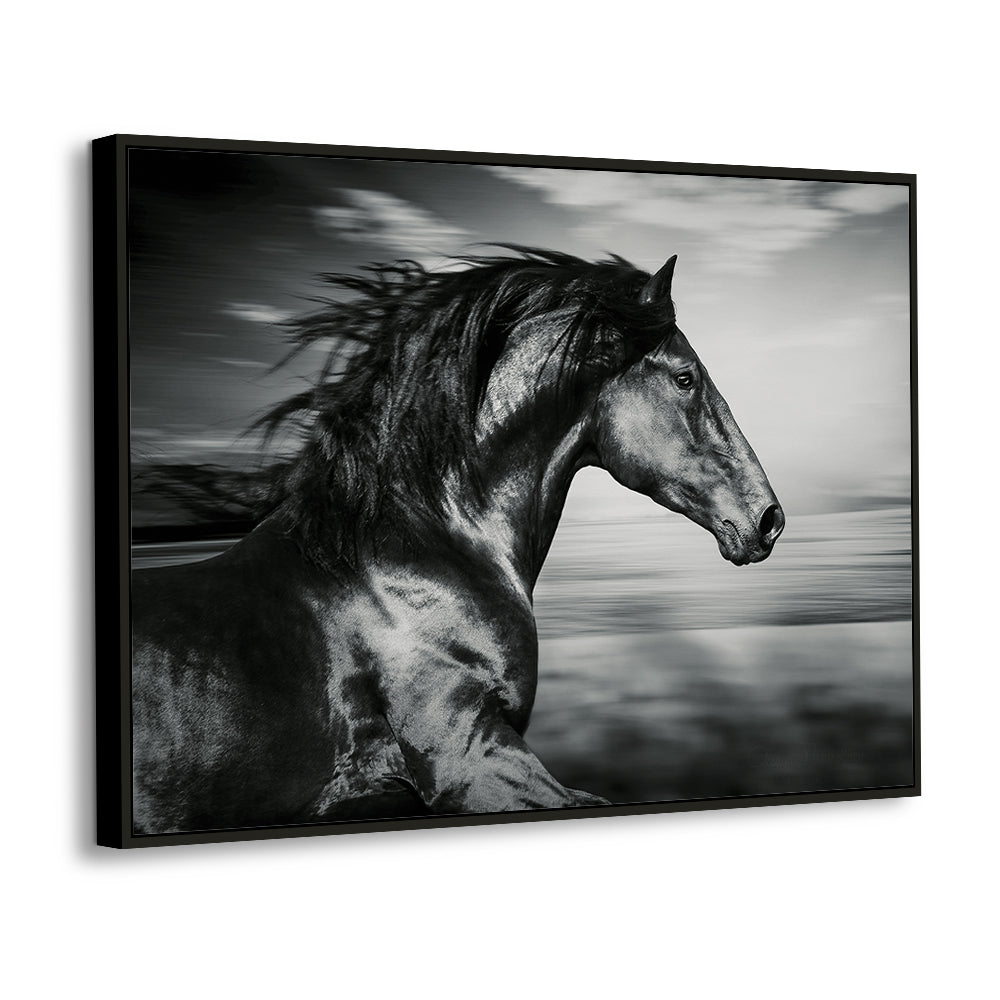 Majestic Black Stallion Canvas Wall Art – Power, Freedom & Elegance in Motion