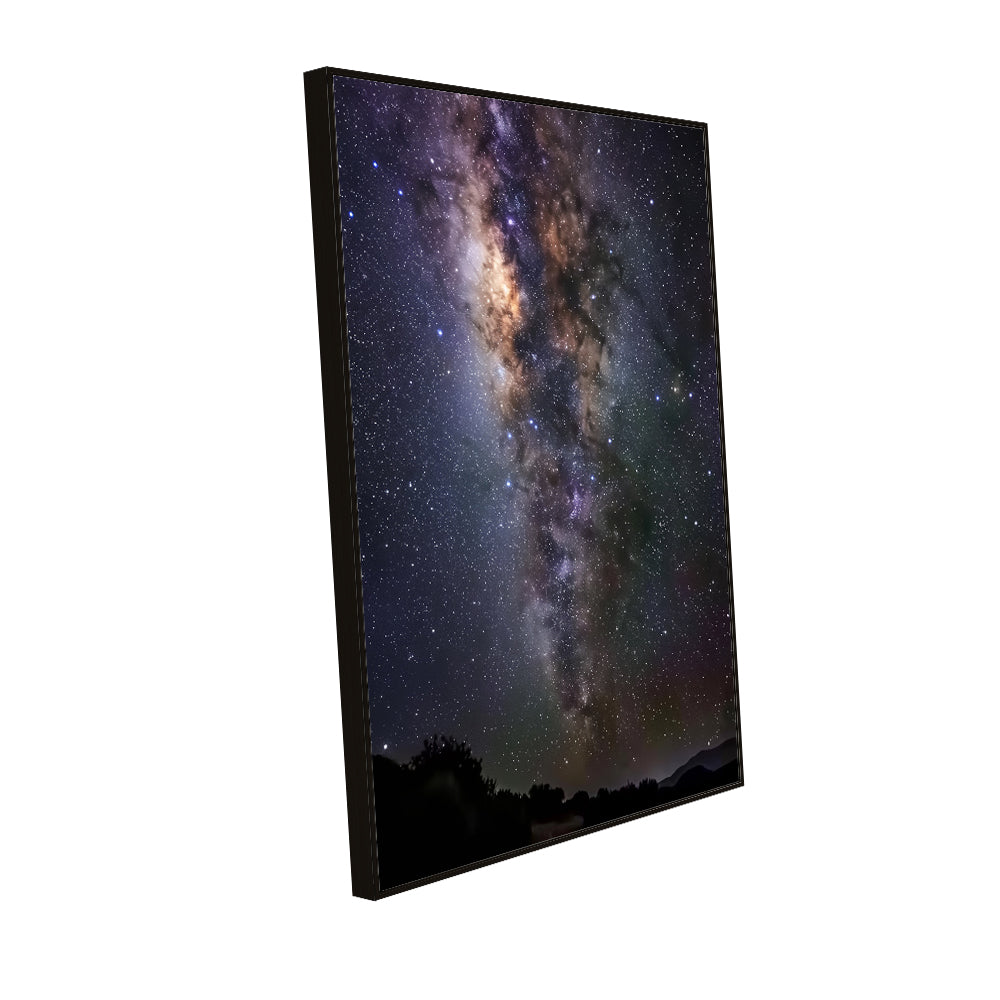 Eternal Galaxy Milky Way Canvas Wall Art