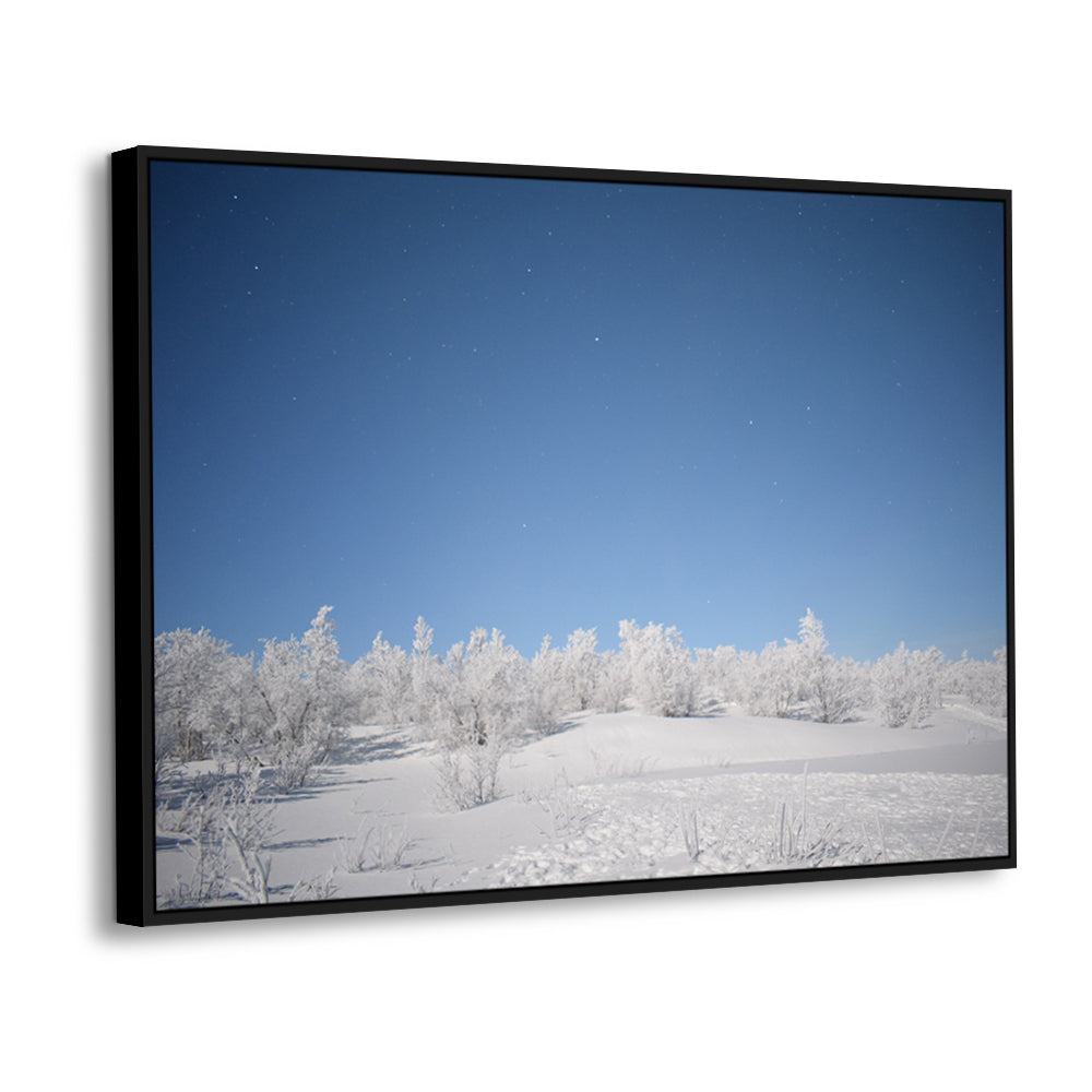 Winter Night Sky – Serene Snow Landscape Canvas Wall Art