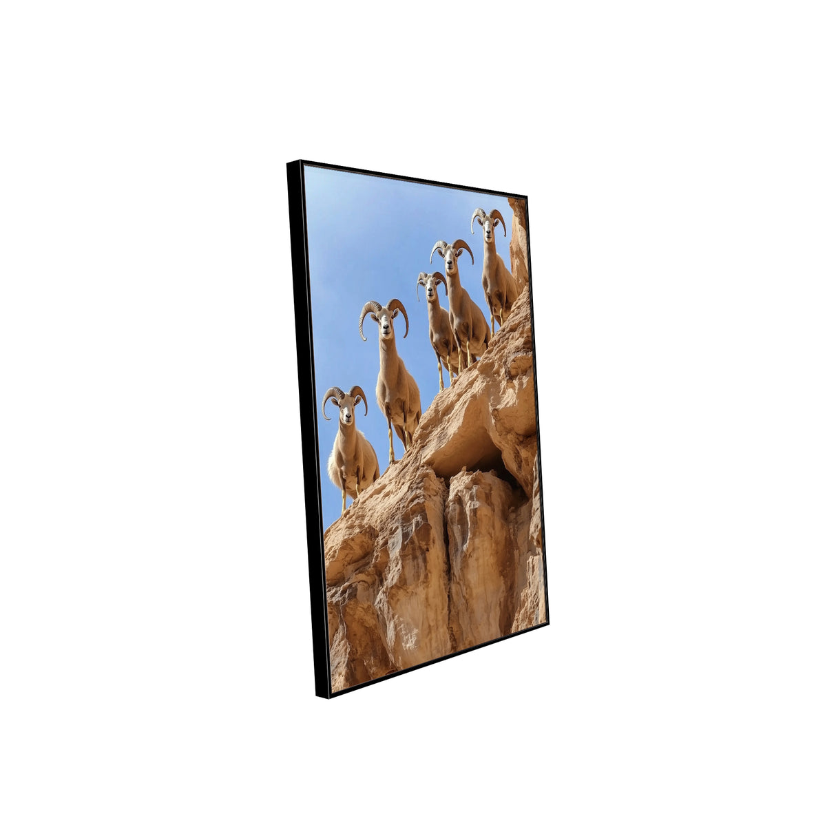 Majestic Desert Rams Canvas Wall Art
