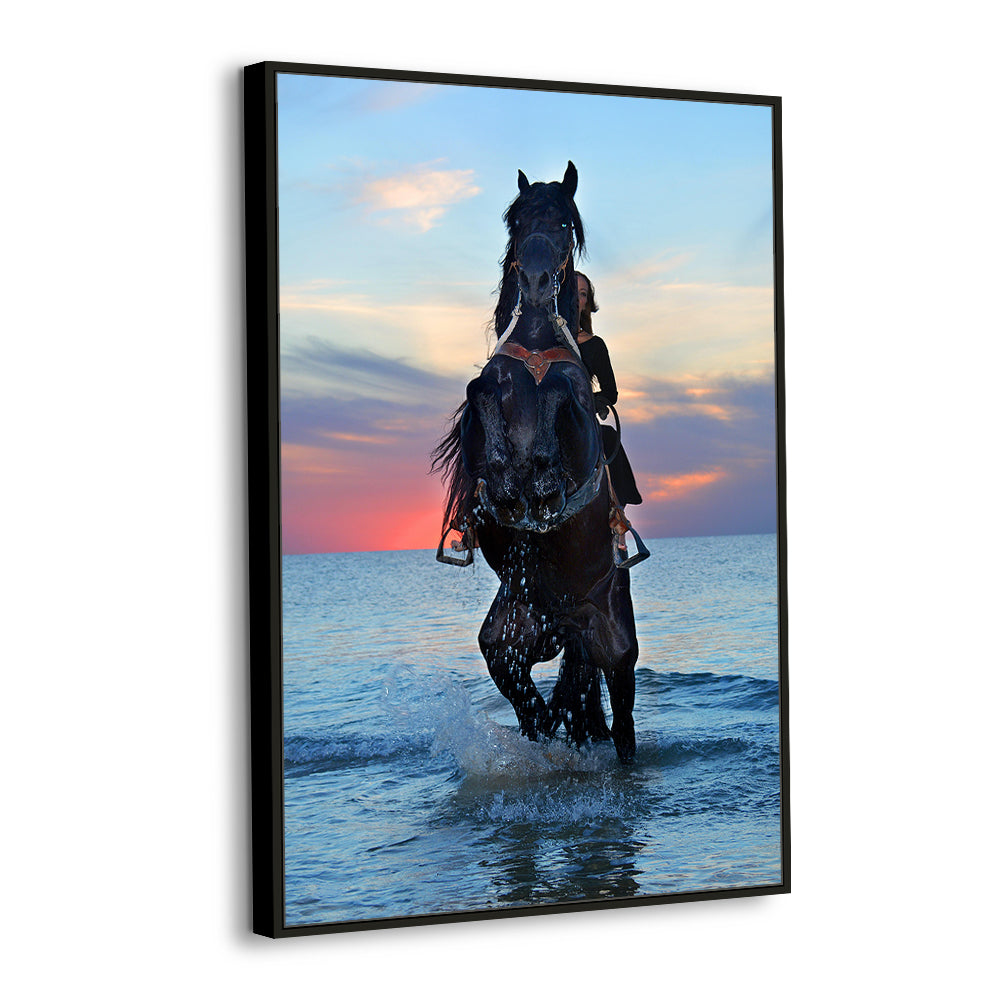 Majestic Horse At Sunset Canvas Wall Art