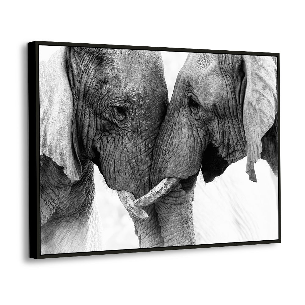Elephant Bond Canvas Wall Art – A Timeless Symbol of Love & Strength