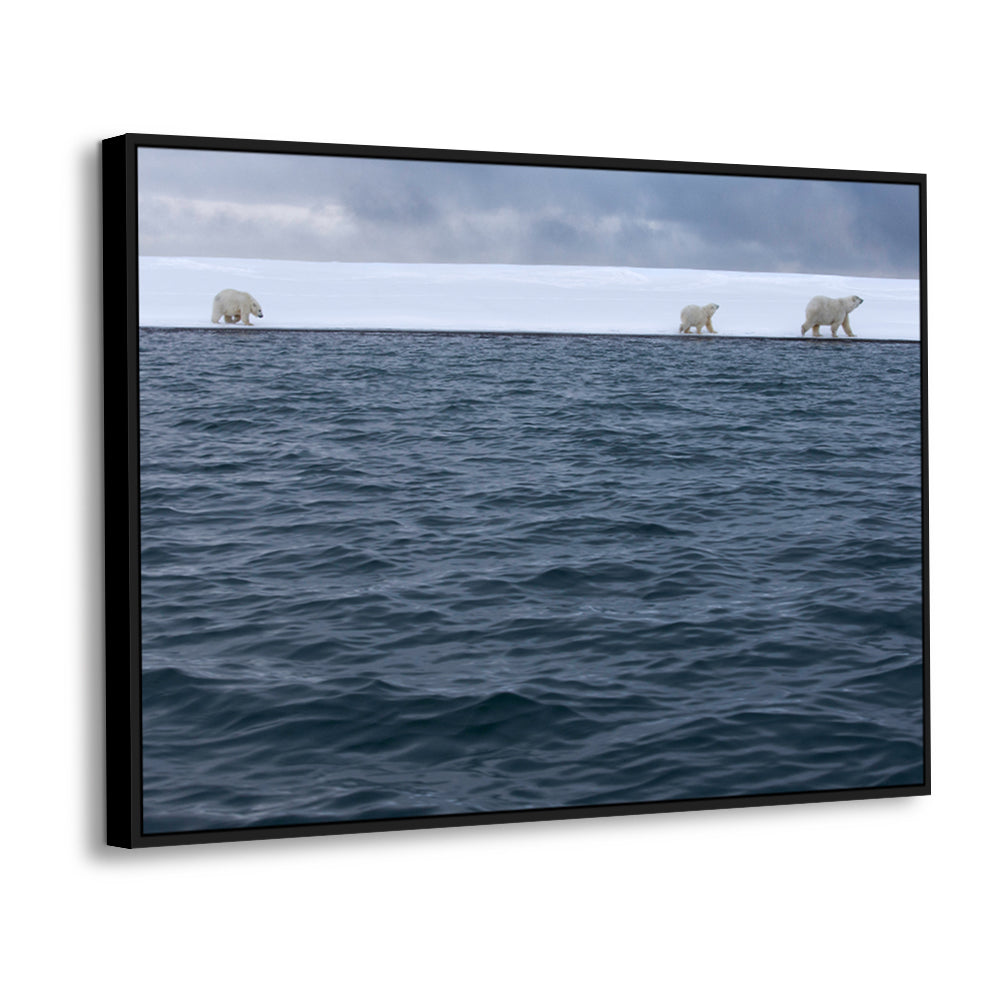 Polar Bear Journey – Arctic Wildlife Scenic Print Canvas Wall Art