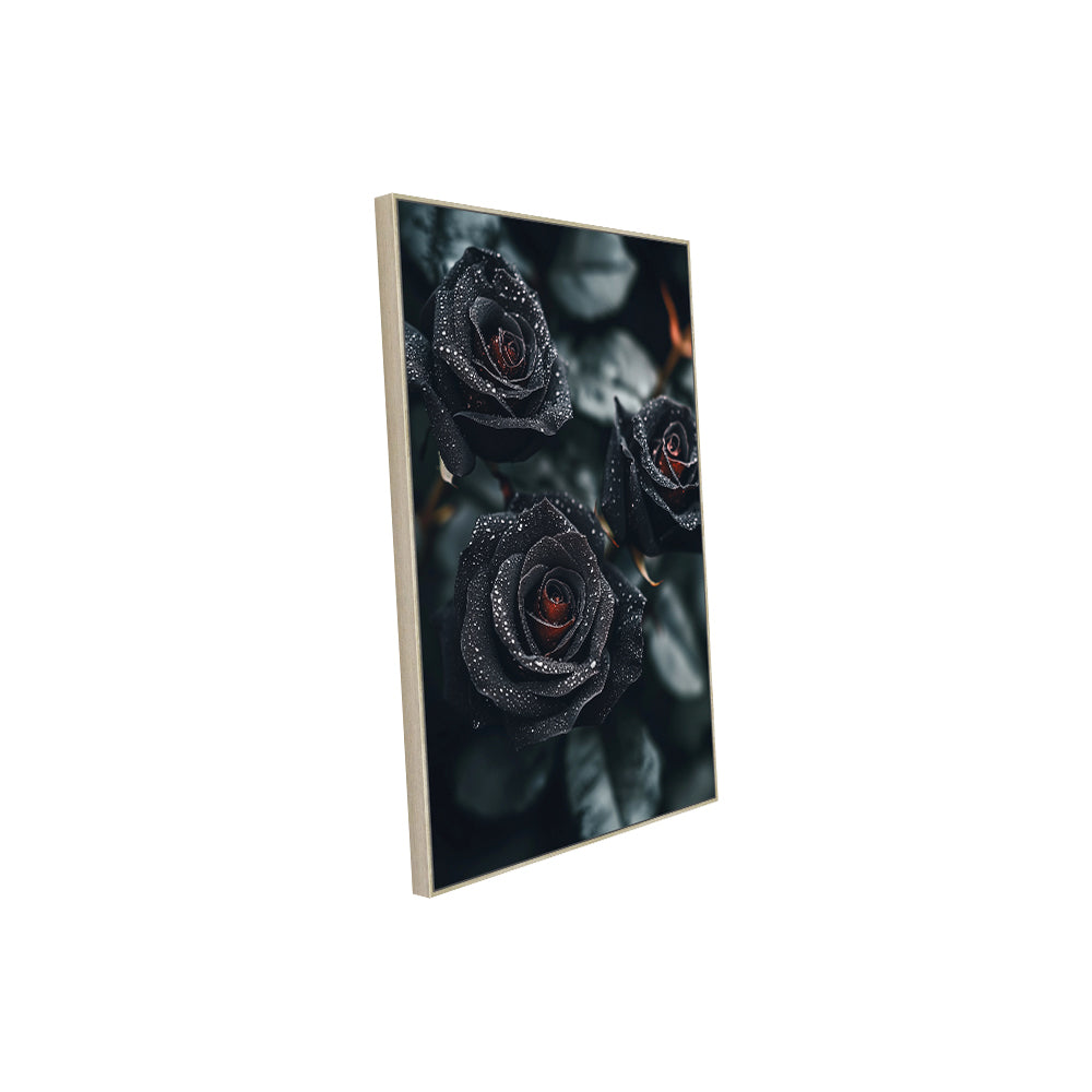 Dew-Kissed Black Roses Canvas Wall Art