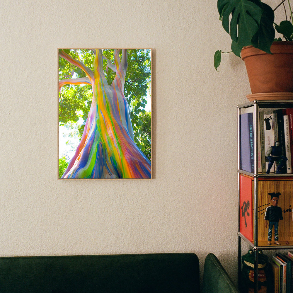 Vibrant Rainbow Tree - Nature’s Colorful Masterpiece Canvas Wall Art