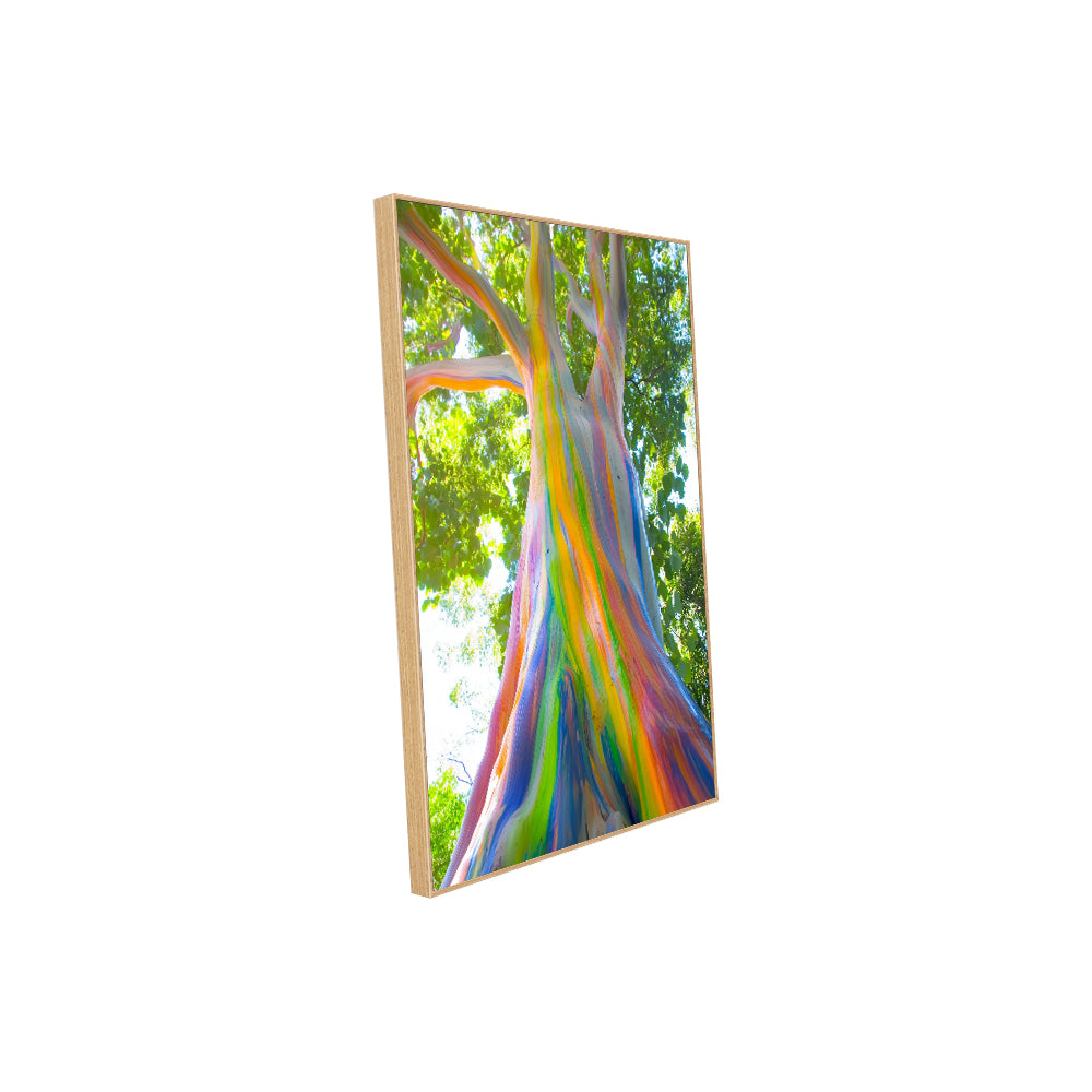 Vibrant Rainbow Tree - Nature’s Colorful Masterpiece Canvas Wall Art