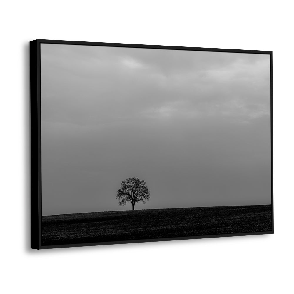 Solitary Tree In Monochrome Canvas Wall Art