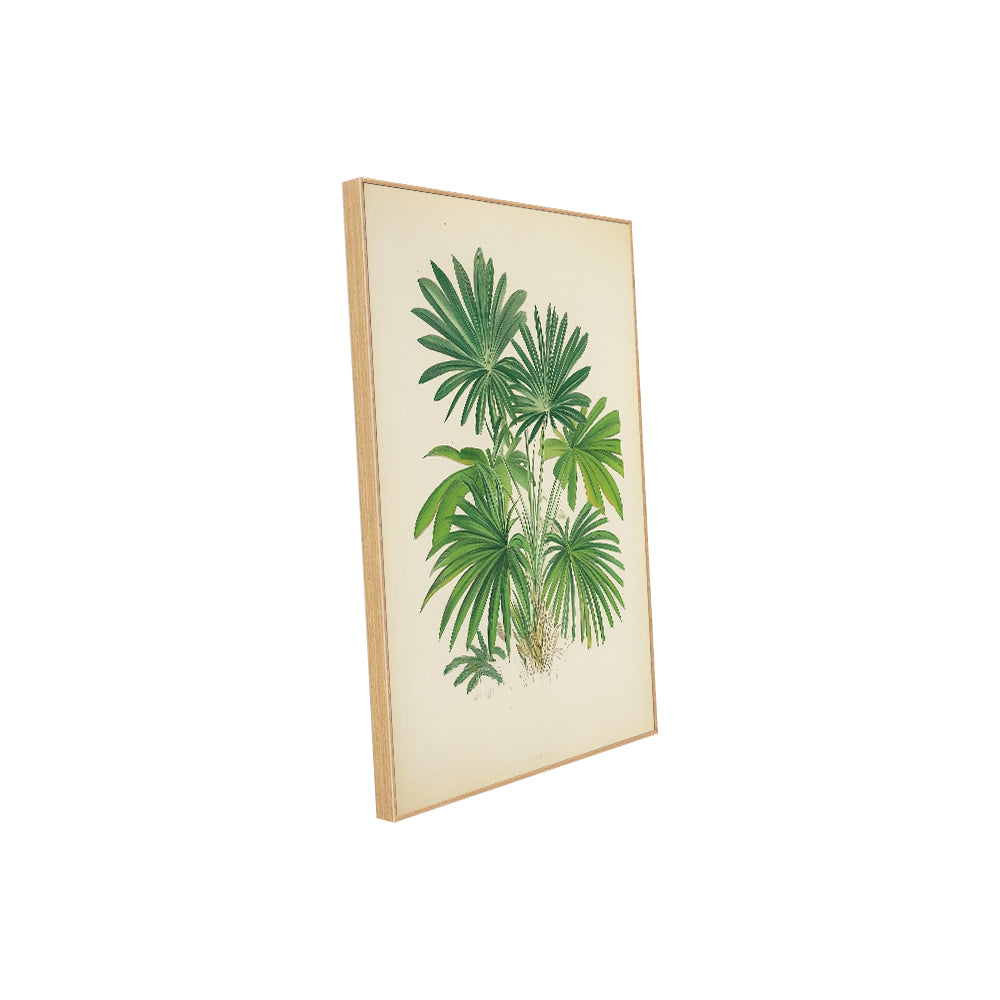 Botanical Palm – Lush Greenery Décor Canvas Wall Art