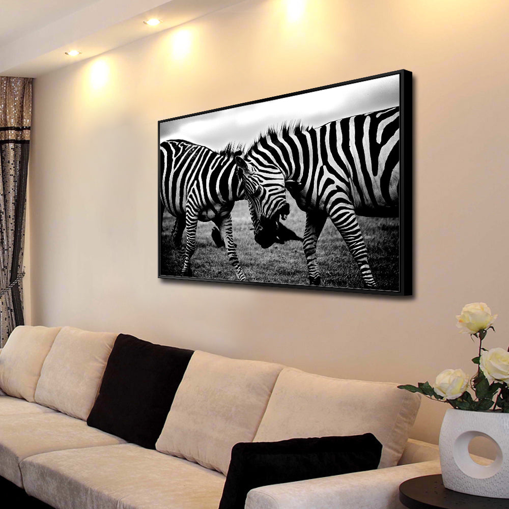 Playful (Black & White) Zebras Canvas Wall Art
