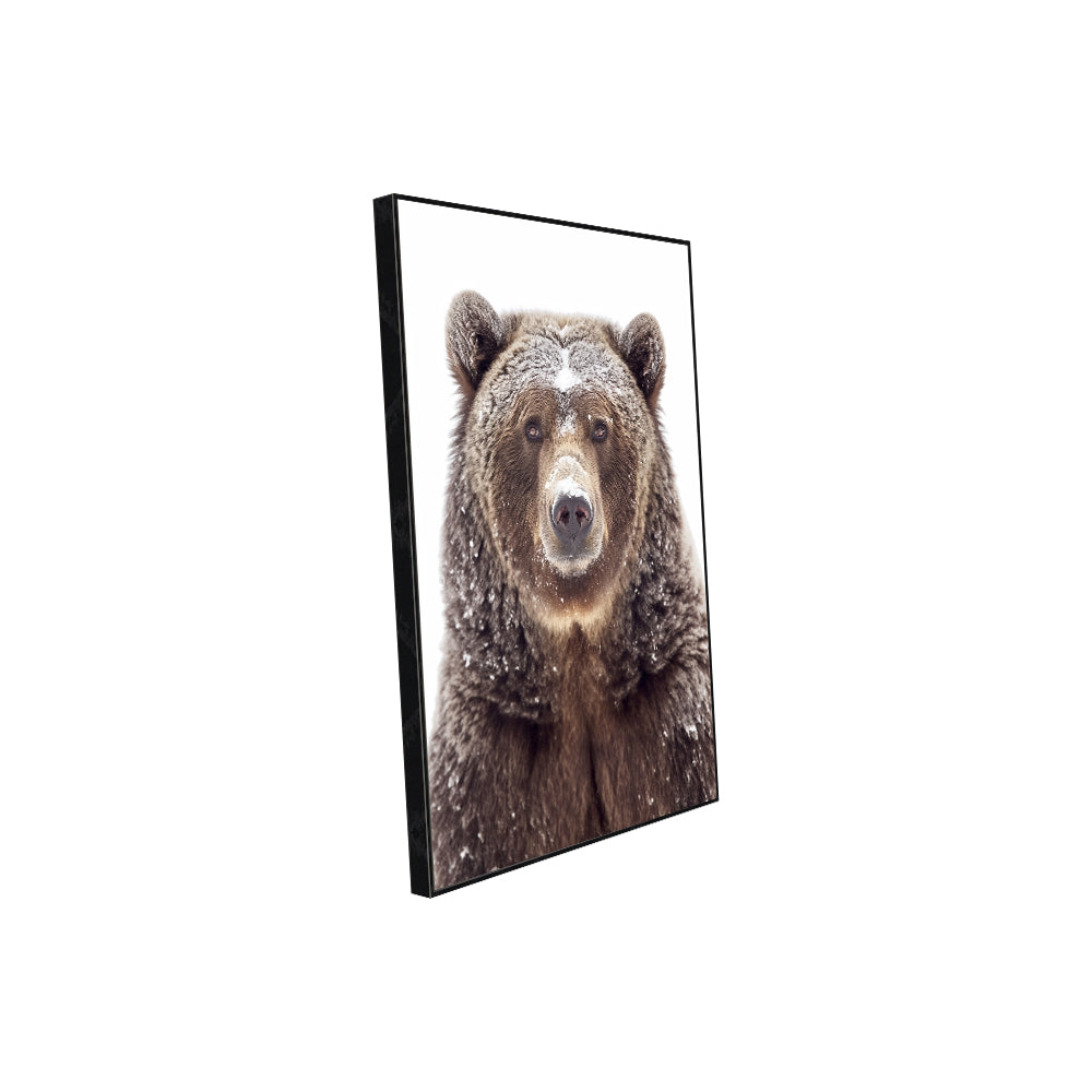 Majestic Snow Covered Bear – A Winter Wildlife Masterpiece Canvas Wall Art