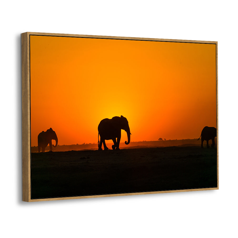 Elephant Silhouettes At Sunset Canvas Wall Art